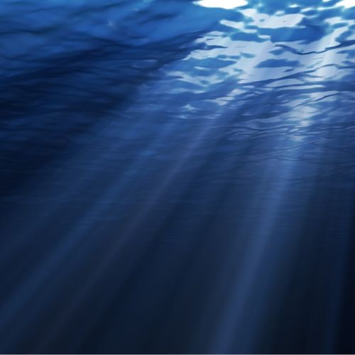 Deep's cover