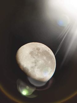 (high tone beat Japanese chill)'s cover