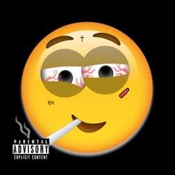 High On Music's cover