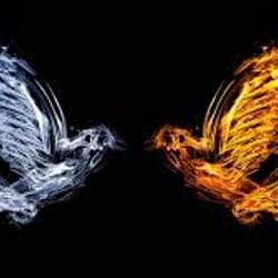 The Things I've Seen's cover