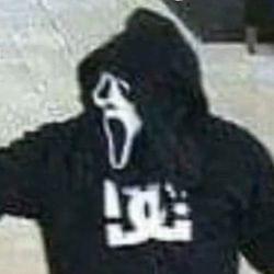 Dont mess with GZ's cover