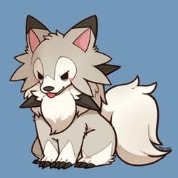 Don't be Afraid My Lil cute wolf's cover