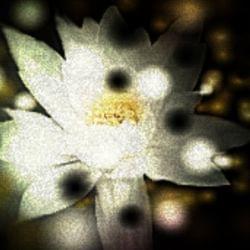 Breeze of music's cover