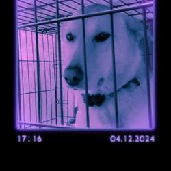 Can't handle my love (remake)'s cover