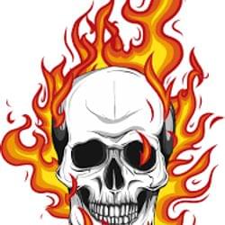 The savage Blaze of flames's cover