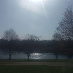 •B○ld•'s cover