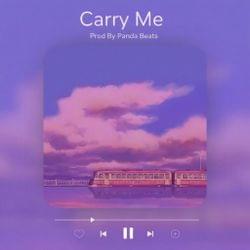 Panda Beats - Carry Me's cover