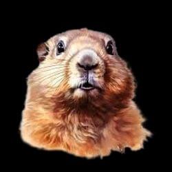 Idk what this is but it is FIRE!!!'s cover