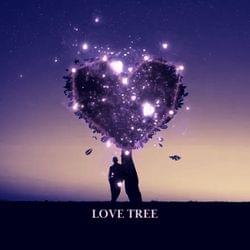 LOVE TREE's cover
