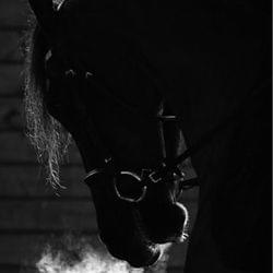 𝔾ℝ𝔸𝕋𝕌𝕀𝕋 ℙ𝕆𝕌ℝ 𝕋𝕆𝕌𝕁𝕆𝕌ℝ𝕊's cover