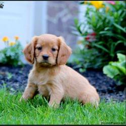 Bday on the 19,2 weeks  's cover