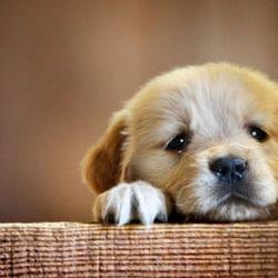 Hey what's up!! 's cover