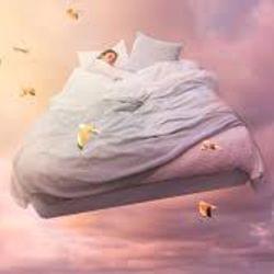 Dream'in away's cover