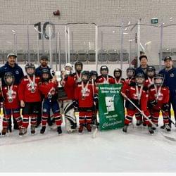 What that noise's cover