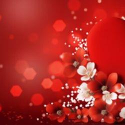 Happy v day 's cover