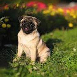 Chiling like a vilian's cover