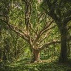 Graveyard Shift's cover