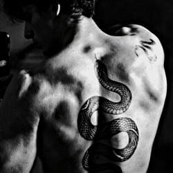 "𝓓𝓲𝓼𝓽𝓪𝓷𝓬𝓮"-𝓥𝓪𝓷𝓲𝓵𝓵𝓪~𝓘𝓻𝓲𝓲𝓼's cover