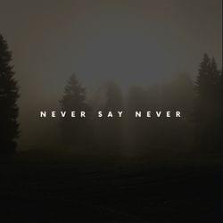 Never Say Never's cover